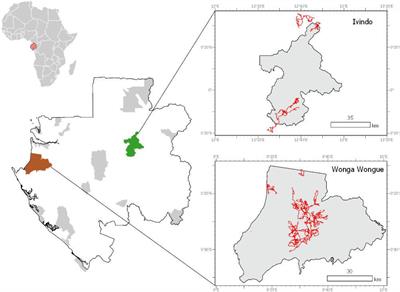 Climatic and Resource Determinants of Forest Elephant Movements